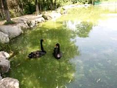 -西安秦岭野生动物园