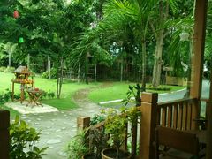 -Fern Forest Cafe