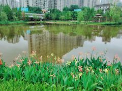 -沐仙湖湿地公园
