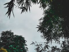 -重庆北碚万达广场