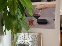 -纽巷咖啡 SOFTFOCUS COFFEE(锦和巴黎时韵店)