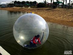 西山绿光休闲农场3-苏州太湖西山岛开心农场