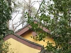 -慧因高丽寺