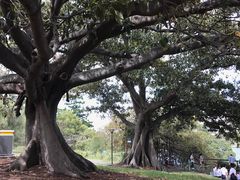 -悉尼歌剧院