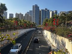 -中澳友谊花园