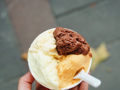 100%黑巧-DIP in GELATO(富民路店)