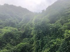 -黎坪国家森林公园