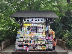 -西湖游船