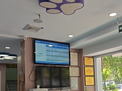 -天使宠物医院·犬猫分诊(彩虹店)