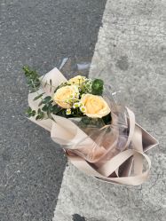 -COSMO PRO造型