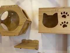 -猫咪派对(江南西店)