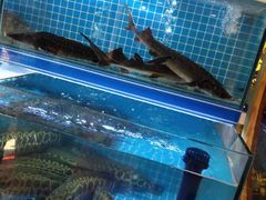 -鱼遇木桶斑鱼火锅(塔湾店)