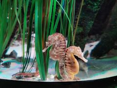 -沈阳海洋探索中心