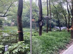 -西郊宾馆·1921餐厅
