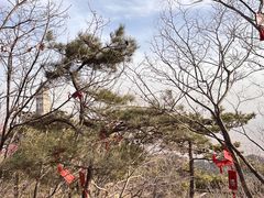 -天津盘山风景名胜区