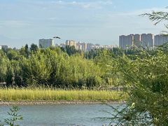 -伊犁河风景区
