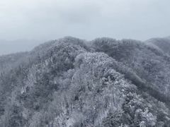 -秦岭风景区