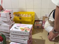 -老袁家蜜桃农场·阳山水蜜桃