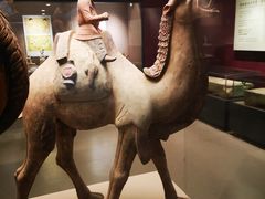 -西安大唐西市博物馆