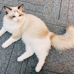 -元一肌肤管理中心