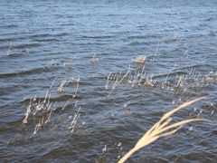 -野鸭湖国家湿地公园