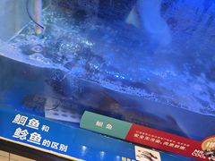 -鱼酷活鱼烤鱼(南京水游城店)