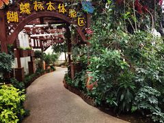 -天目湖山水园