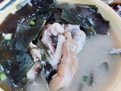 -耙蹄花