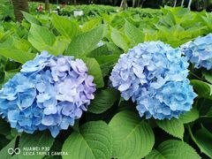 -阿哈湖国家湿地公园