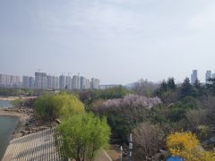 -济南国际园博园