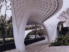 -五缘湾湿地公园