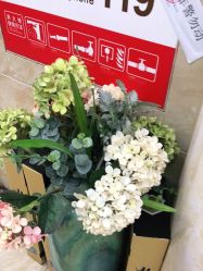 -重庆军美医疗美容医院