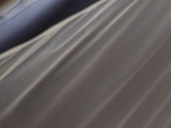 -太手撕鸡