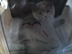 -佑安动物医院·全科·内窥镜中心(幸福巷店)