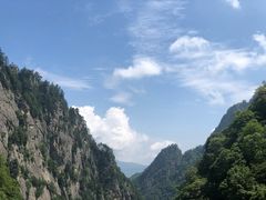 -青峰峡国家森林公园