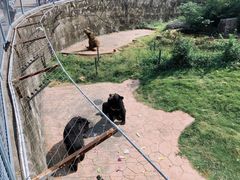 -无锡动物园·太湖欢乐园