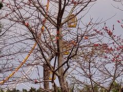 -白沙门生态公园