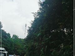 -广州市石门国家森林公园