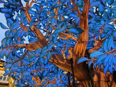 -阿文汤包蟹黄汤包(豫园商城店)