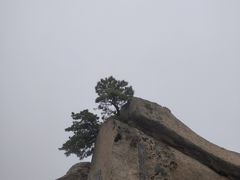 -华山风景名胜区