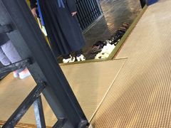 -禅射堂(嘉善越里店)