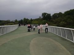 -飞凤山奥体公园