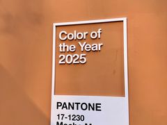 -X88商场(铜仁路店)