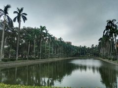 -中山大学学者灵芝(园南路店)