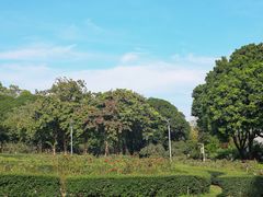 -水百合·园林餐厅(东区店)