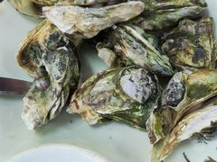 -鑫鸿达·海鲜闽菜热炒小馆(中山路店)