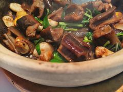 -新兴·金羊座·粤菜点心(乐峰店)