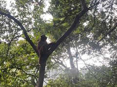 -黔灵山公园