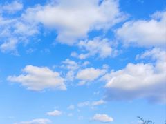 -北京鹫峰国家森林公园