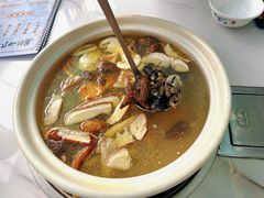 -蘑统田下·野生菌火锅